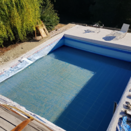 Accessoires et Produits d'Entretien : Maintenez votre Piscine dans un État Impeccable Roubaix